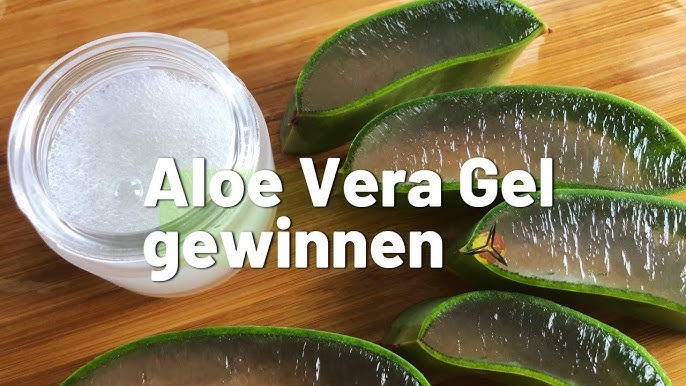  Aloe Vera Massage Helps Alleviate Symptoms of Varicose Veins